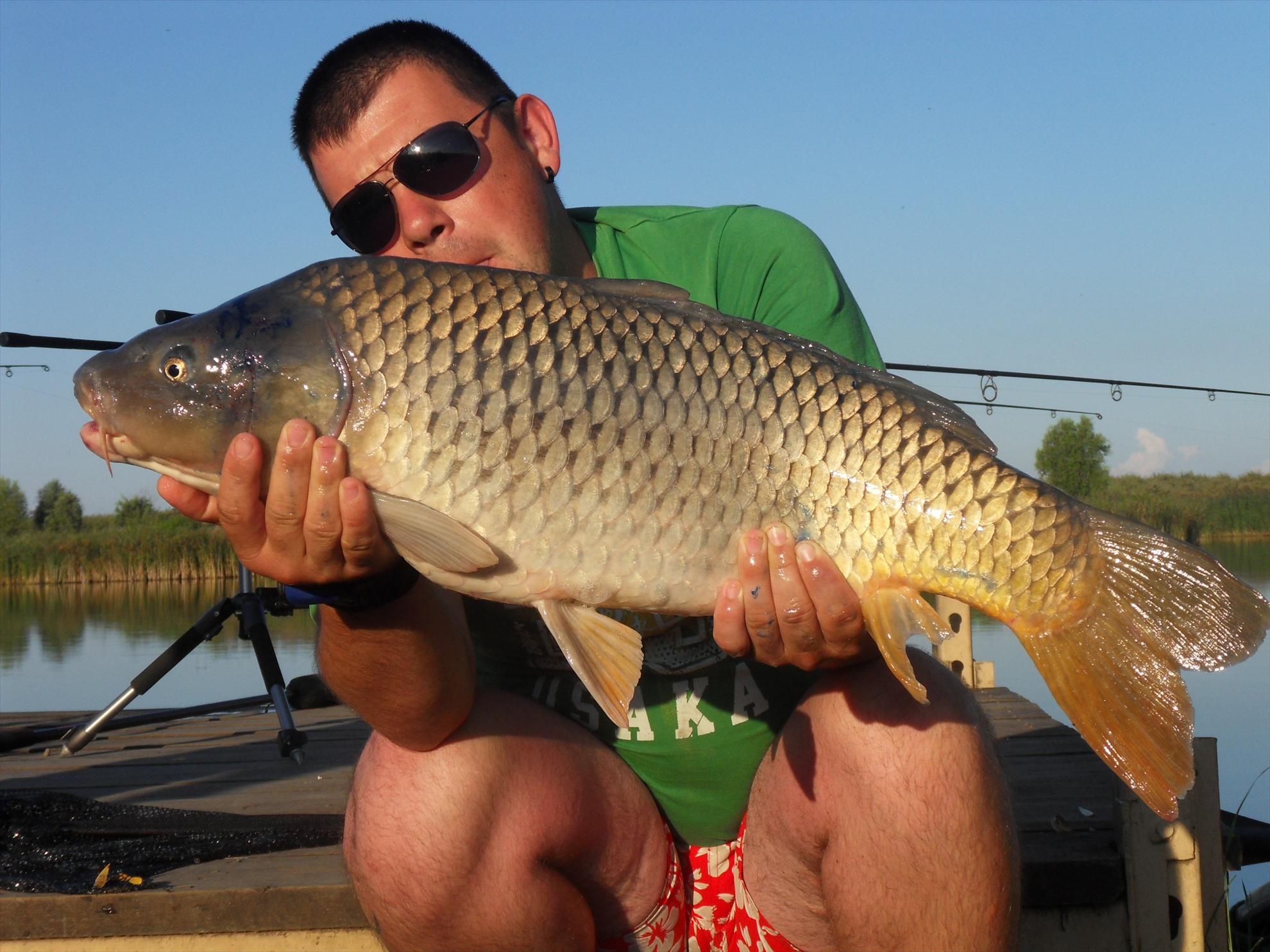 Nagykallo 2011 - nagykallo2011-238.JPG